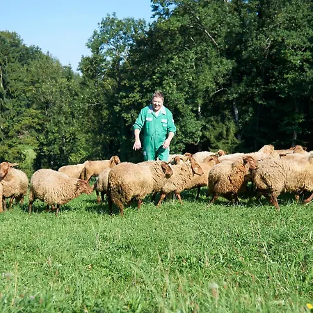 Gastagwirt 호텔 4*