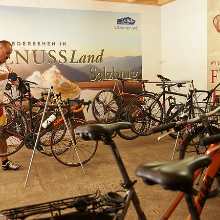 ホテル Gastagwirt 4*