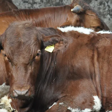 Gastagwirt Hotel Eugendorf