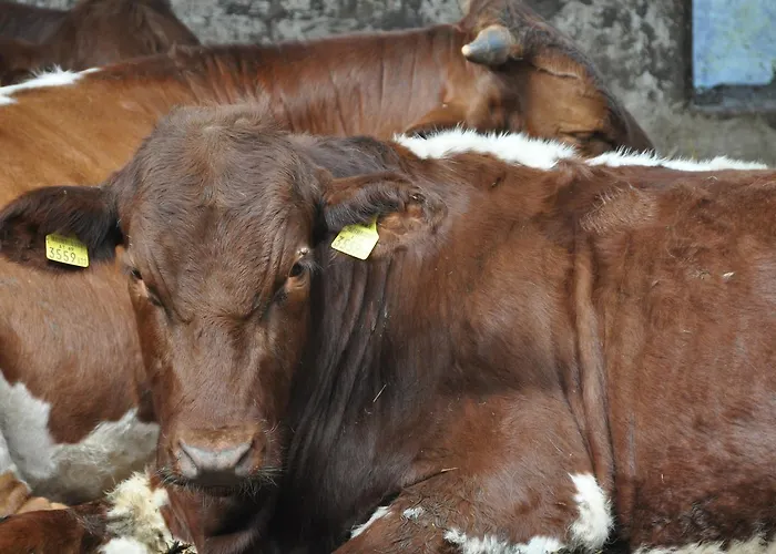 Gastagwirt Hotel Eugendorf
