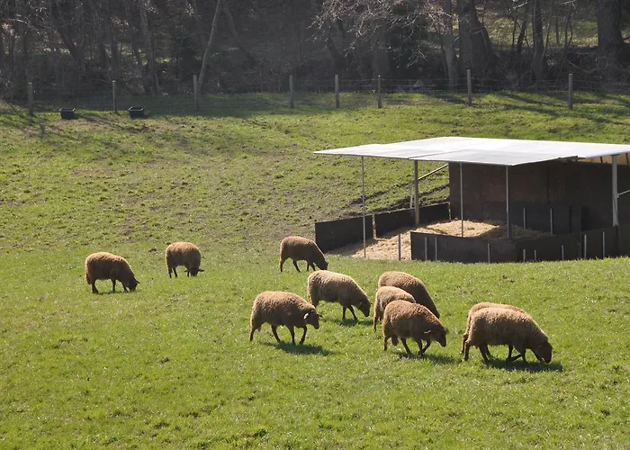 Gastagwirt 4* Eugendorf