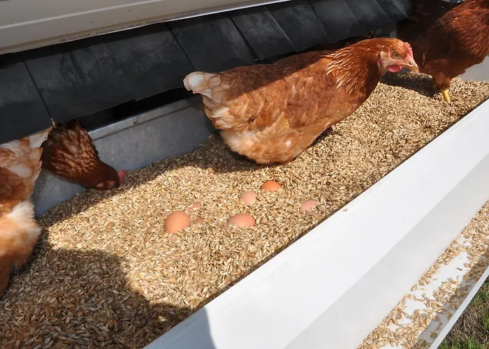 Gastagwirt Hotel Eugendorf